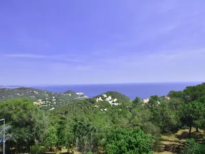 Paisaje cerca de este apartamento