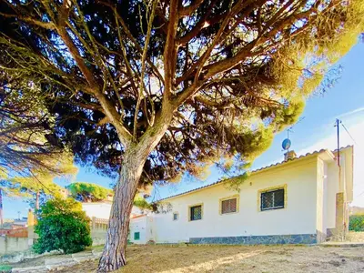 Edificio en el que se encuentra la casa o chalet