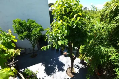 Jardín al aire libre en Vlla Gina a 3 kms d Lloret de mar