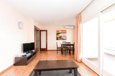 Una televisión o centro de entretenimiento en Apartament Planiol