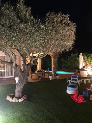 Piscina en o cerca de Villa Pineda 5