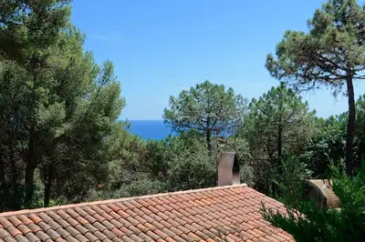 Paisaje cerca de esta casa o chalet