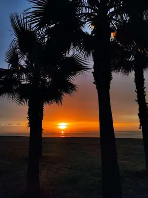Paisaje cerca de este apartamento