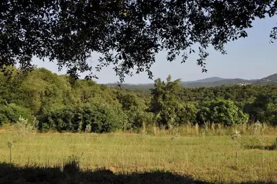 Paisaje cerca de este apartamento