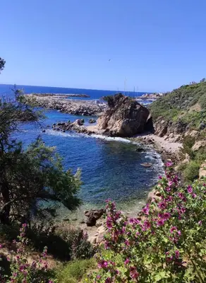 Paisaje cerca de esta casa o chalet