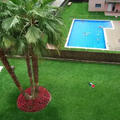 Camelia Apartment