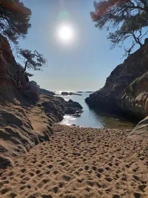 Paisaje cerca de este apartamento