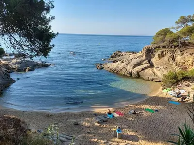 Paisaje cerca de este apartamento