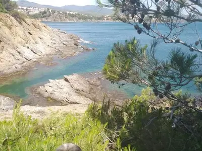 Paisaje cerca de este hostal o pensión