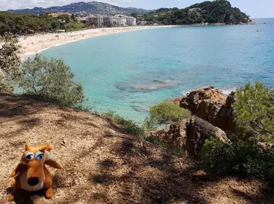 Paisaje cerca de este apartamento