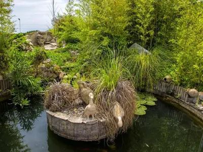 Paisaje cerca de esta villa