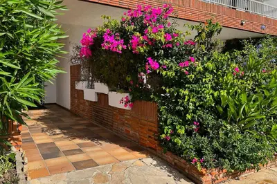 Jardín al aire libre en Apartamento Costa Brava, Blanes