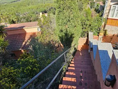 Plano de Montagne vue panoramique sur mer