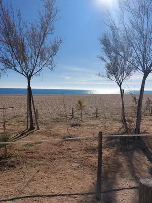 Paisaje cerca de este apartamento