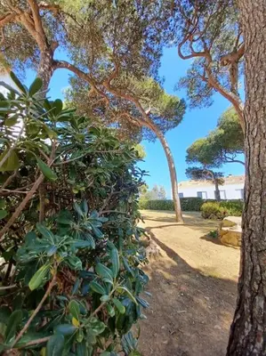 Paisaje cerca de este apartamento