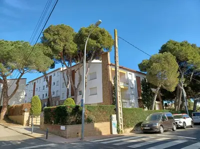 El barrio de los alrededores o un barrio cerca de este apartamento