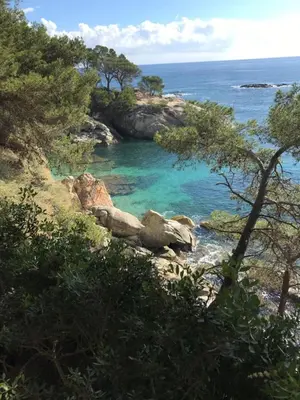 Paisaje cerca de este apartamento