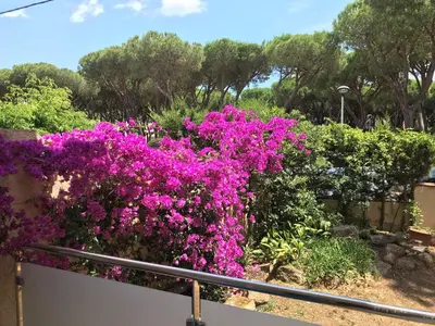 Jardín al aire libre en T3 de 65 m2 terrasse jardin à 300 m de la mer