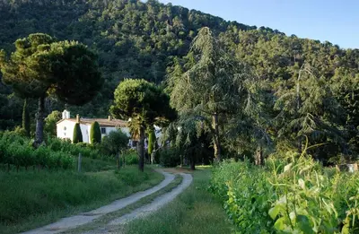 Paisaje cerca of this country house