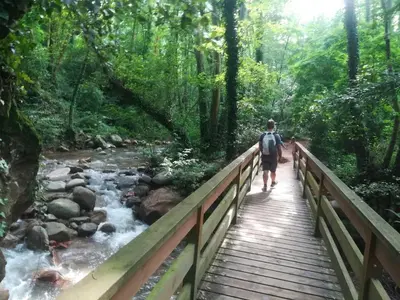 Paisaje cerca de este hotel