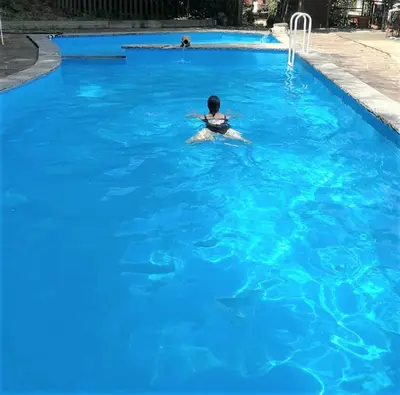Piscina en o cerca de Hostal Montsoliu