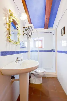 Un baño de Mas Petit, turisme rural