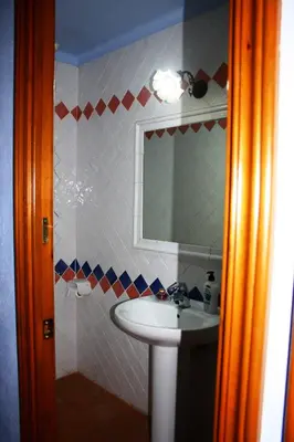 Un baño de Mas Saris