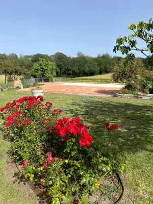 Jardín al aire libre en Can Figueretes
