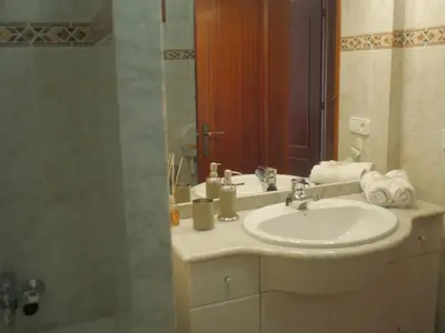 Un baño de Mas Puig Roig
