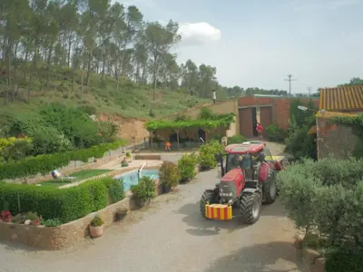 Jardín al aire libre en Mas Puig Roig