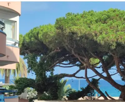 Paisaje cerca de este apartamento