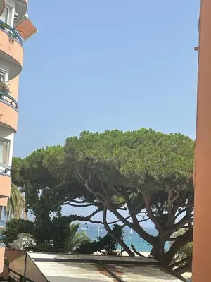 Paisaje cerca de este apartamento