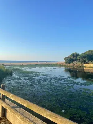 Paisaje cerca de este apartamento