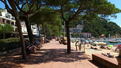 Paisaje cerca de este apartamento