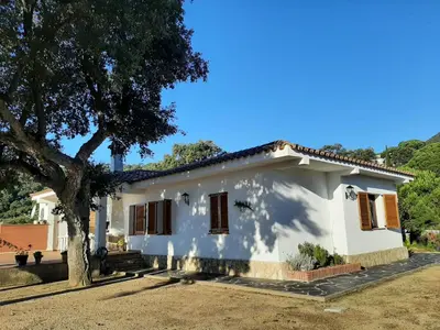 Edificio en el que se encuentra la casa o chalet