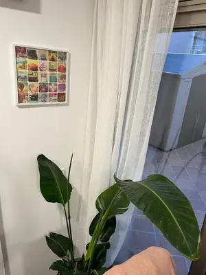 Plano de Private terrace 1BR apt - 4min walk to the beach