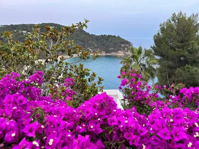Paisaje cerca de esta villa
