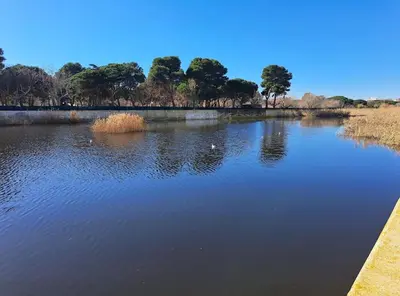Paisaje cerca de este apartamento