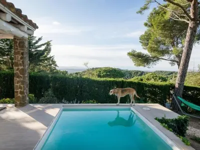 Piscina en o cerca de Nova