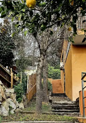 Jardín al aire libre en Cal Nene - plamun es