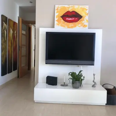 Una televisión o centro de entretenimiento en The White Lilies