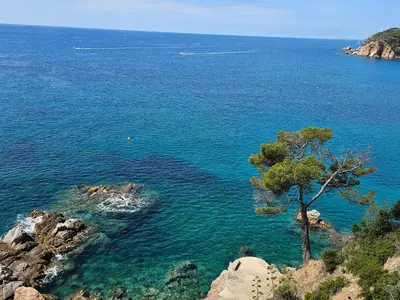 Paisaje cerca de este apartamento