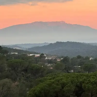 Casa Feliz Con Perros