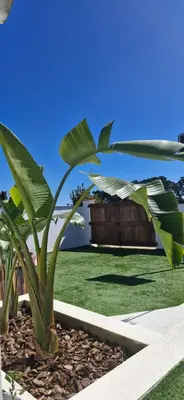 Jardín al aire libre en La Mediterranea