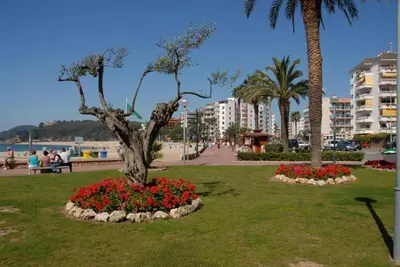 Paisaje cerca de este apartamento