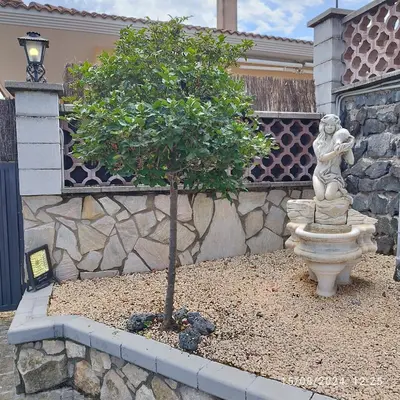 Jardín al aire libre en La Biznaga