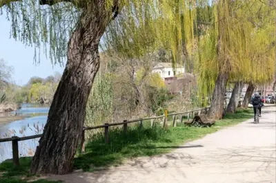Paisaje cerca de este apartamento