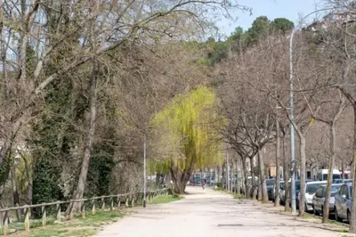 Paisaje cerca de este apartamento