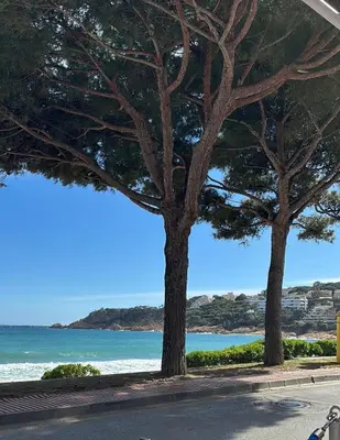 Paisaje cerca de este apartamento