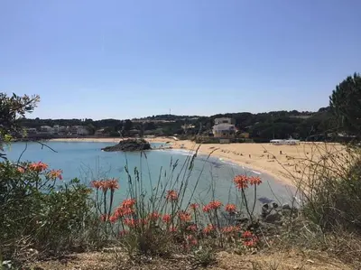 Paisaje cerca de este apartamento